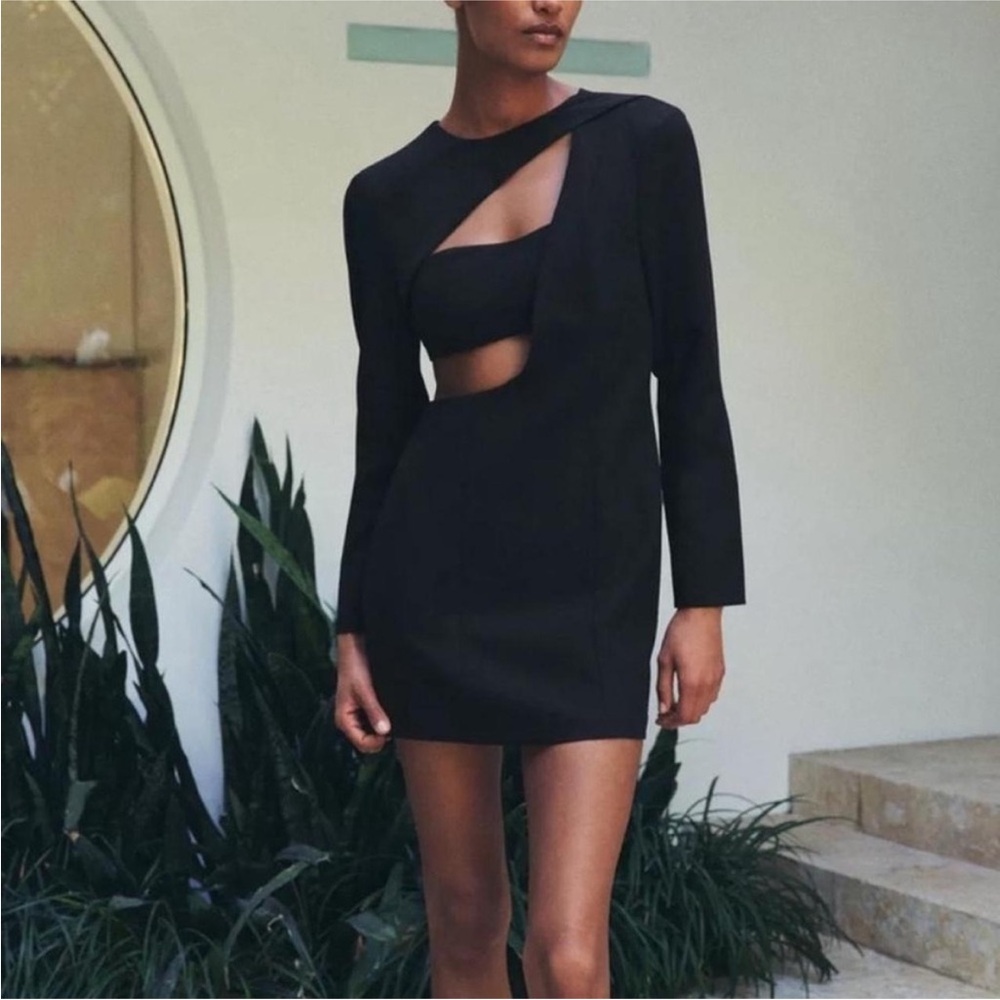 Zara Black Cutout Long-Sleeve Mini Dress, medium